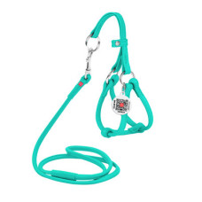 Кругла шкіряна шлея WAUDOG Glamour з повідцем для котів і дрібних собак Ментолова