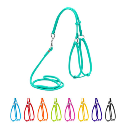 Кругла шкіряна шлея WAUDOG Glamour з повідцем для котів і дрібних собак Ментолова