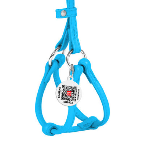 Кругла шкіряна шлея WAUDOG Glamour з повідцем для котів і дрібних собак Блакитна