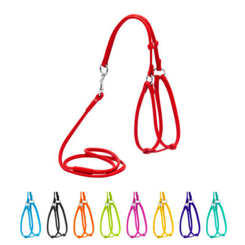 Кругла шкіряна шлея WAUDOG Glamour з повідцем для котів і дрібних собак Червона