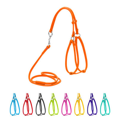 Кругла шкіряна шлея WAUDOG Glamour з повідцем для котів і дрібних собак Помаранчева