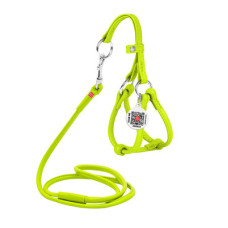 Кругла шкіряна шлея WAUDOG Glamour з повідцем для котів і дрібних собак Салатова