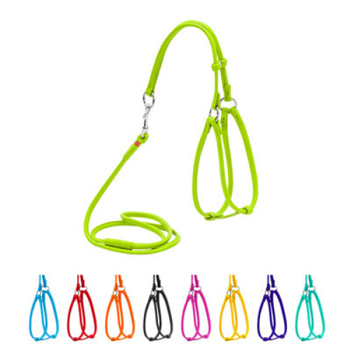 Кругла шкіряна шлея WAUDOG Glamour з повідцем для котів і дрібних собак Салатова