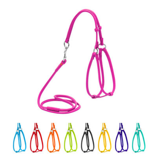 Кругла шкіряна шлея WAUDOG Glamour з повідцем для котів і дрібних собак Рожева