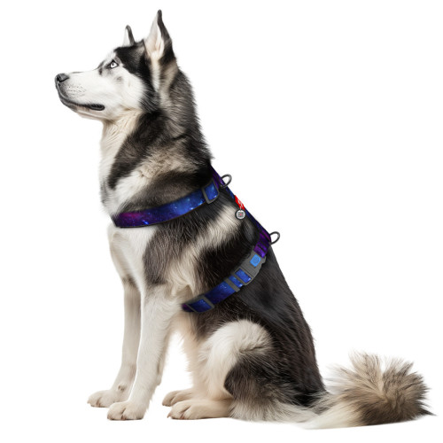 Шлея для собак анатомічна H-подібна WAUDOG Nylon "NASA21" з QR-паспортом