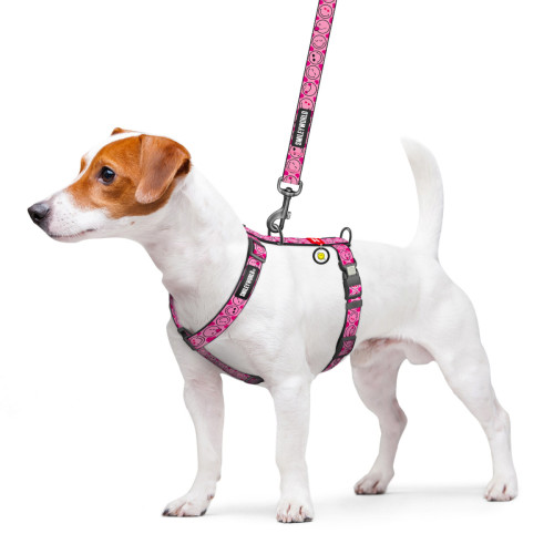 Шлея для собак анатомічна H-подібна WAUDOG Nylon "Смайли на рожевому" з QR-паспортом