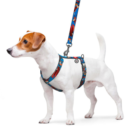 Шлея для собак анатомічна H-подібна WAUDOG Nylon "Сила Супермена" з QR-паспортом