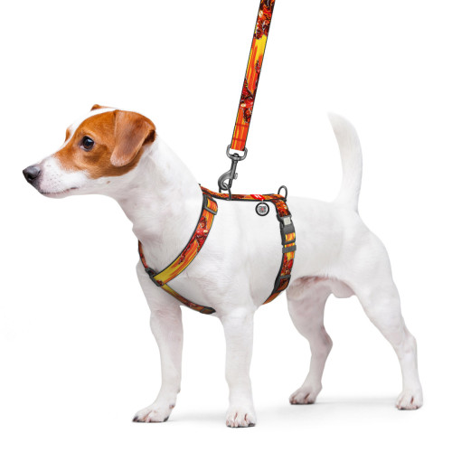 Шлея для собак анатомічна H-подібна WAUDOG Nylon "Швидкість Флеша" з QR-паспортом