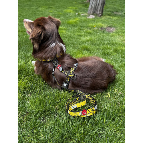 Шлея для собак світловідбивна анатомічна WAUDOG Nylon "Бетмен Ескіз" з QR-паспортом