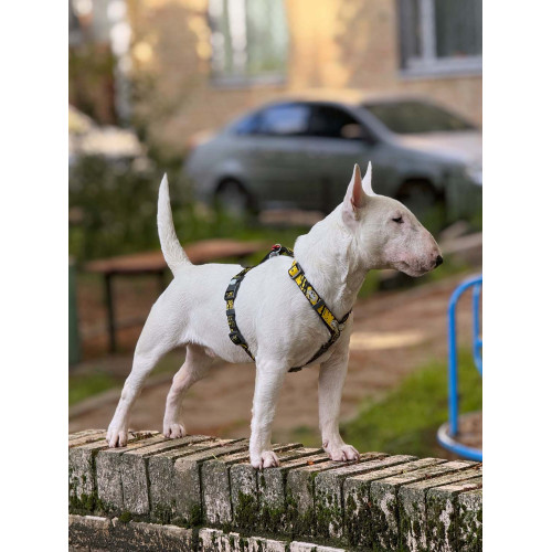 Шлея для собак світловідбивна анатомічна WAUDOG Nylon "Бетмен Ескіз" з QR-паспортом