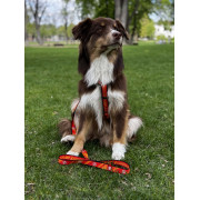 Шлея для собак анатомічна H-подібна WAUDOG Nylon "Сила Супермена" з QR-паспортом - фото 10
