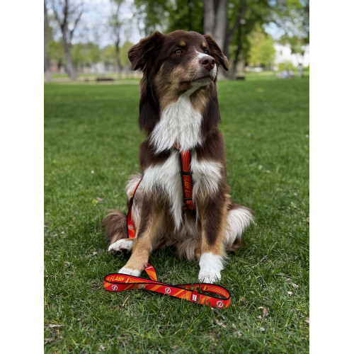 Шлея для собак анатомічна H-подібна WAUDOG Nylon "Сила Супермена" з QR-паспортом