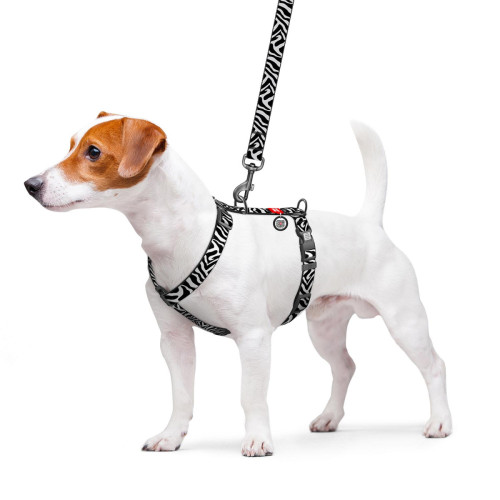 Шлея анатомічна H-подібна WAUDOG Nylon, малюнок Зебра (з 2 фастексами)