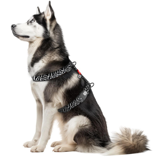 Шлея анатомічна H-подібна WAUDOG Nylon, малюнок Зебра (з 2 фастексами)