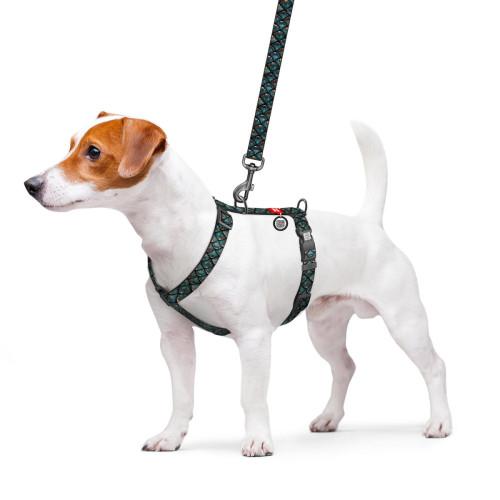 Шлея анатомічна WAUDOG Nylon з малюнком Луска (з двома фастексами та QR паспортом)