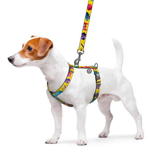 Шлея для собак анатомічна H-подібна WAUDOG Nylon "Мохнаті монстри" з QR-паспортом