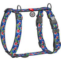 Шлея для собак анатомическая WAUDOG Nylon "Инжир" с QR-паспортом