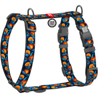 Шлея для собак анатомическая WAUDOG Nylon "Апельсины" с QR-паспортом