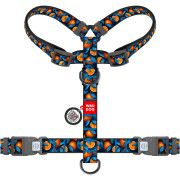 Шлея для собак анатомическая WAUDOG Nylon "Апельсины" с QR-паспортом - фото 2