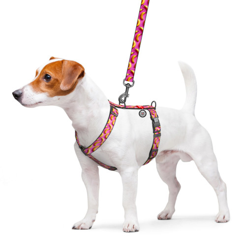 Шлея для собак анатомічна H-подібна WAUDOG Nylon "Авокадо на рожевому" з QR-паспортом