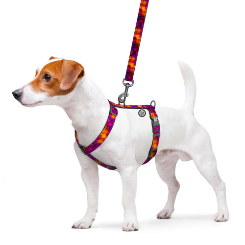 Шлея для собак анатомічна H-подібна WAUDOG Nylon "Куби 3Д" з QR-паспортом