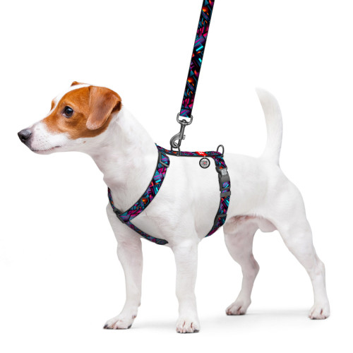 Шлея для собак анатомічна H-подібна WAUDOG Nylon "Нескінченні світи" з QR-паспортом