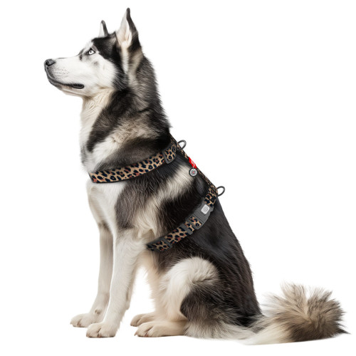 Шлея анатомічна WAUDOG Nylon Леопард з двома фастексами та QR паспортом