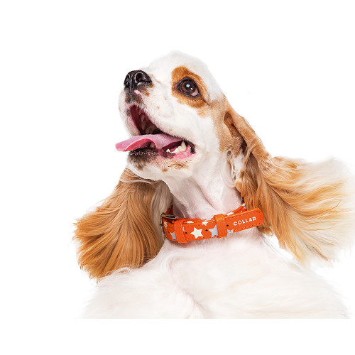 Ошейник для собак кожаный Collar WAUDOG Glamour светонакопительный оранжевого цвета с QR паспортом