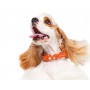 Нашийник для собак шкіряний Collar WAUDOG Glamour світонакоплювальний блакитного кольору з QR паспортом