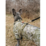 Дощовик для собак WAUDOG Clothes з малюнком "Мілітарі" камуфляж - фото 6