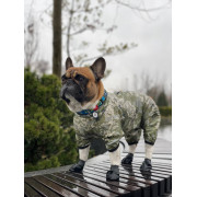 Дощовик для собак WAUDOG Clothes з малюнком "Мілітарі" камуфляж - фото 7