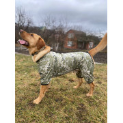 Дощовик для собак WAUDOG Clothes з малюнком "Мілітарі" камуфляж - фото 8