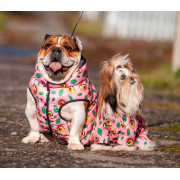 Вітровка для собак WAUDOG Clothes, малюнок "Авокадо на рожевому" - фото 4