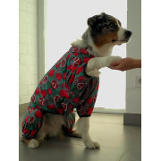 Дощовик-вітровка для собак WAUDOG Clothes, малюнок "Гранати" - фото 5