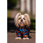 Дощовик-вітровка для собак WAUDOG Clothes, малюнок "Апельсини" - фото 4