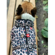 Дощовик-вітровка для собак WAUDOG Clothes Леопард - фото 10