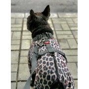 Дощовик-вітровка для собак WAUDOG Clothes Леопард - фото 8