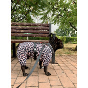 Дощовик-вітровка для собак WAUDOG Clothes Леопард - фото 4