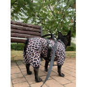 Дощовик-вітровка для собак WAUDOG Clothes Леопард - фото 7