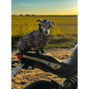 Дощовик-вітровка для собак WAUDOG Clothes Леопард - фото 6