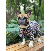 Дощовик-вітровка для собак WAUDOG Clothes Леопард - фото 3
