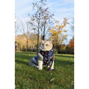 Курточка для собак WAUDOG Clothes, малюнок "Нескінченні світи" - фото 2