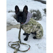 Комбінезон для собак WAUDOG Clothes Мілітарі камуфляжний зі світловідбивним капюшоном - фото 15