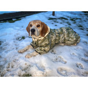 Комбінезон для собак WAUDOG Clothes Мілітарі камуфляжний зі світловідбивним капюшоном - фото 12
