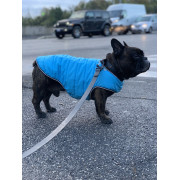 Ошейник для собак EVOLUTOR чёрного цвета, регулируемый универсальный размер  - фото 9