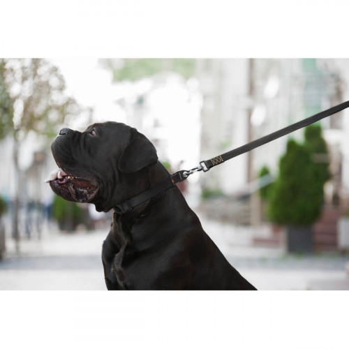 Ошейник для собак EVOLUTOR чёрного цвета, регулируемый универсальный размер 