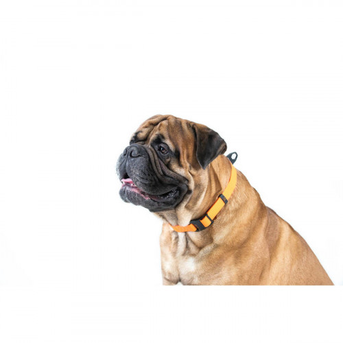 Ошейник для собак EVOLUTOR оранжевого цвета, регулируемый универсальный размер 