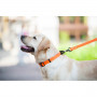 Ошейник для собак EVOLUTOR оранжевого цвета, регулируемый универсальный размер 