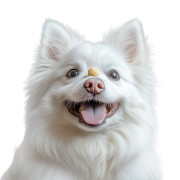 Лакомства для собак WAUDOG Treats Хрустящие сырные шарики, 30 г - фото 5