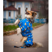Ошейник для собак нейлоновый WAUDOG Nylon c QR-паспортом, рисунок "Флаг", пластиковый фастекс - фото 4